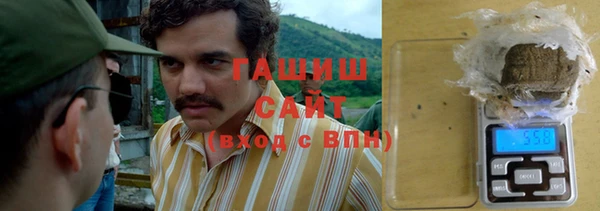 индика Переславль-Залесский