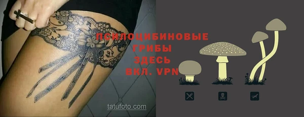 спайс Покачи