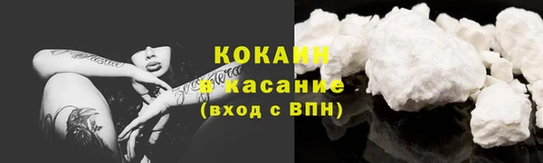индика Переславль-Залесский