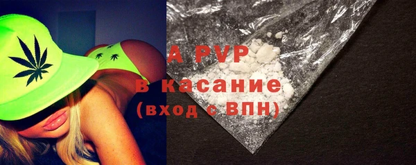 спайс Покачи